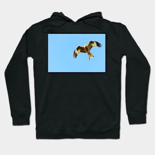 Red Kite in Flight Hoodie